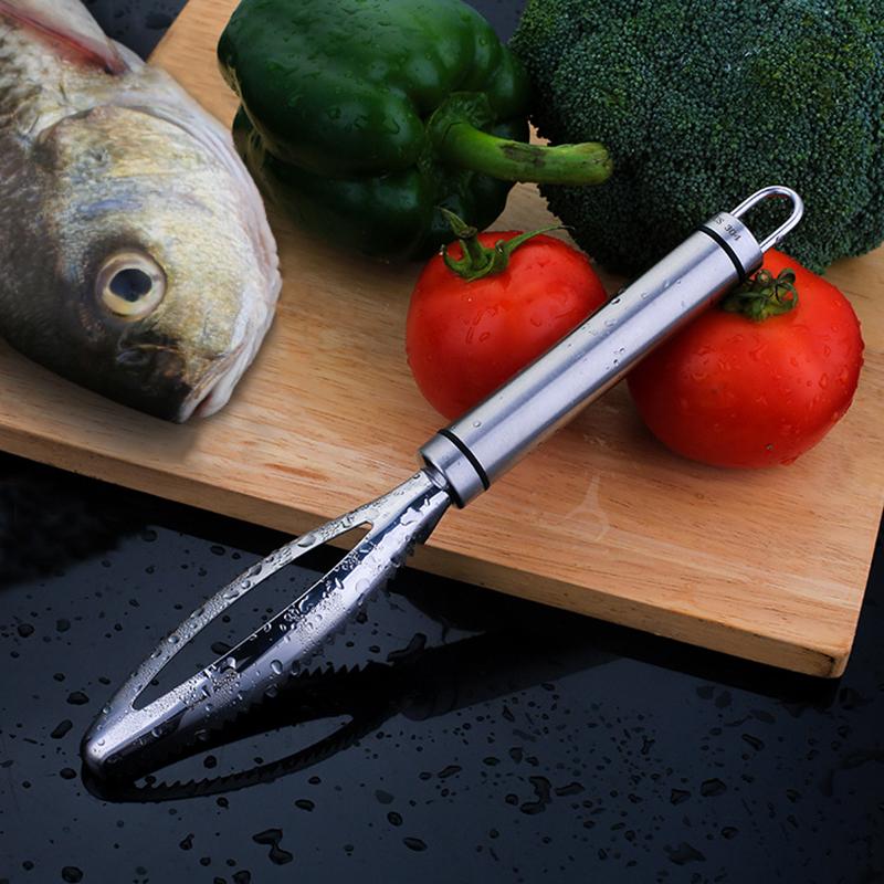 EASY-SCRAPING™ | Ecailleur à Poisson - cuisine d'action