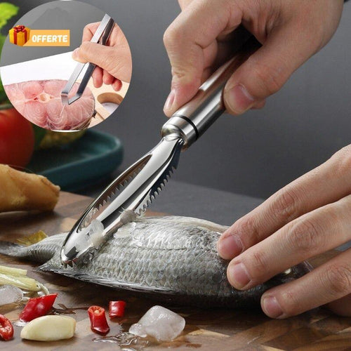 EASY-SCRAPING™ | Ecailleur à Poisson - cuisine d'action